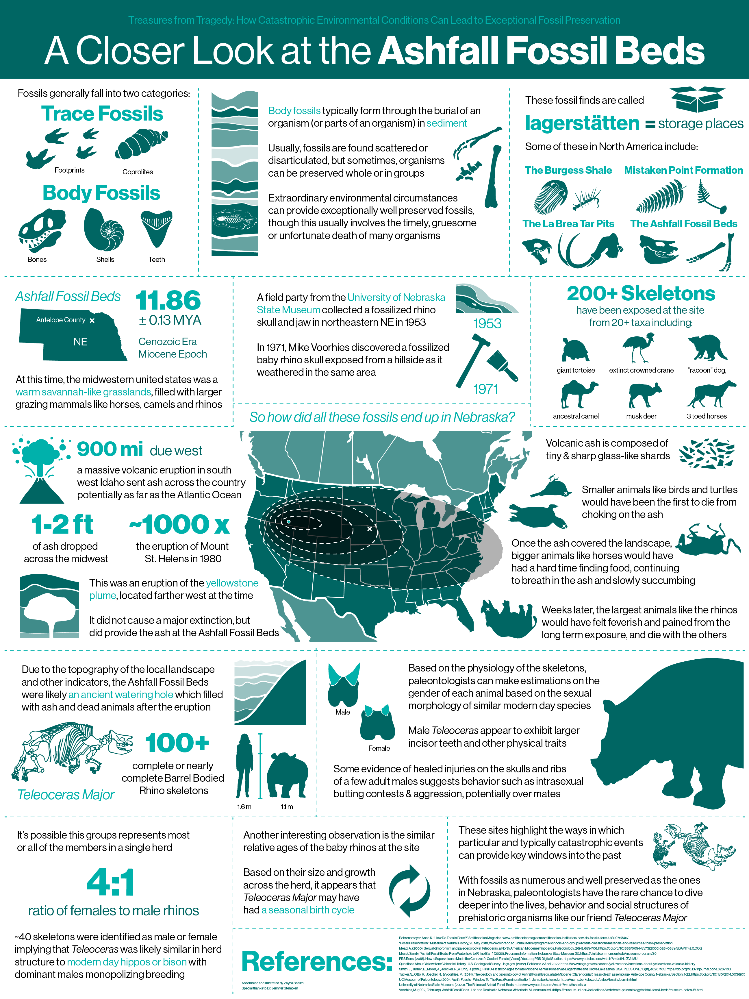 Ashfall Fossil Beds Info Poster