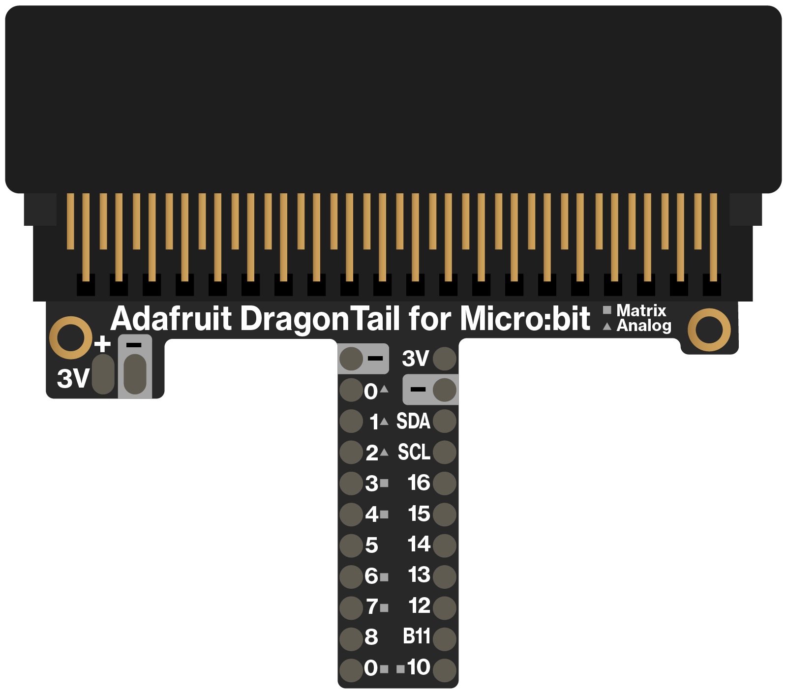 Dragon Tail Electronics Board