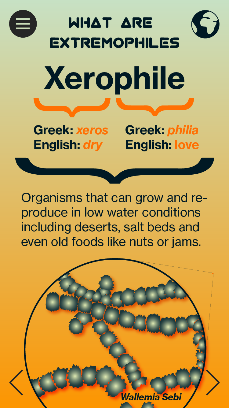 Extremophiles Infographic Pannel