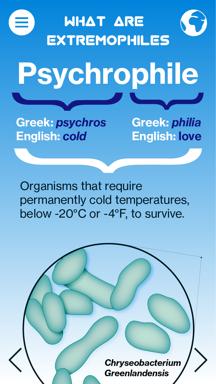 Extremophiles Infographic Pannel