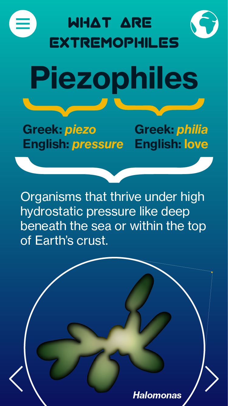 Extremophiles Infographic Pannel