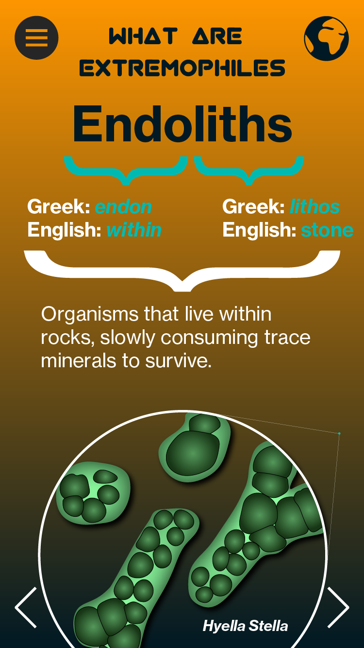 Extremophiles Infographic Pannel